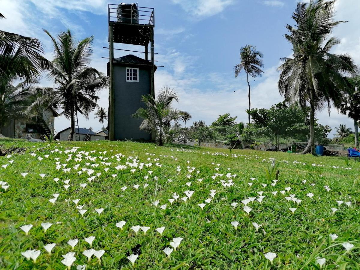 Afro Beach Eco Resort Butre Ngoại thất bức ảnh