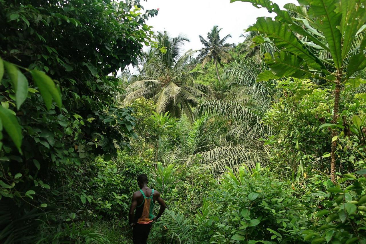 Afro Beach Eco Resort Butre Ngoại thất bức ảnh