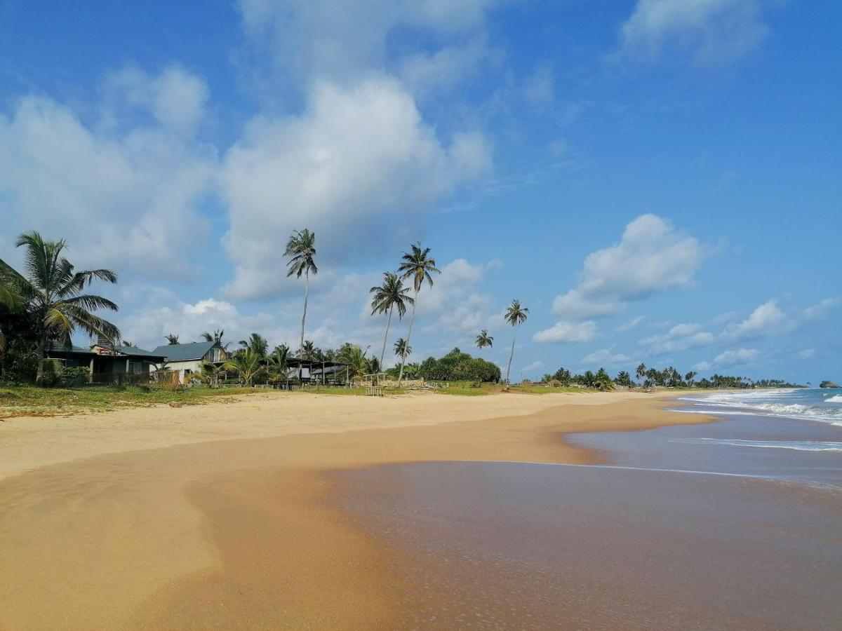 Afro Beach Eco Resort Butre Ngoại thất bức ảnh