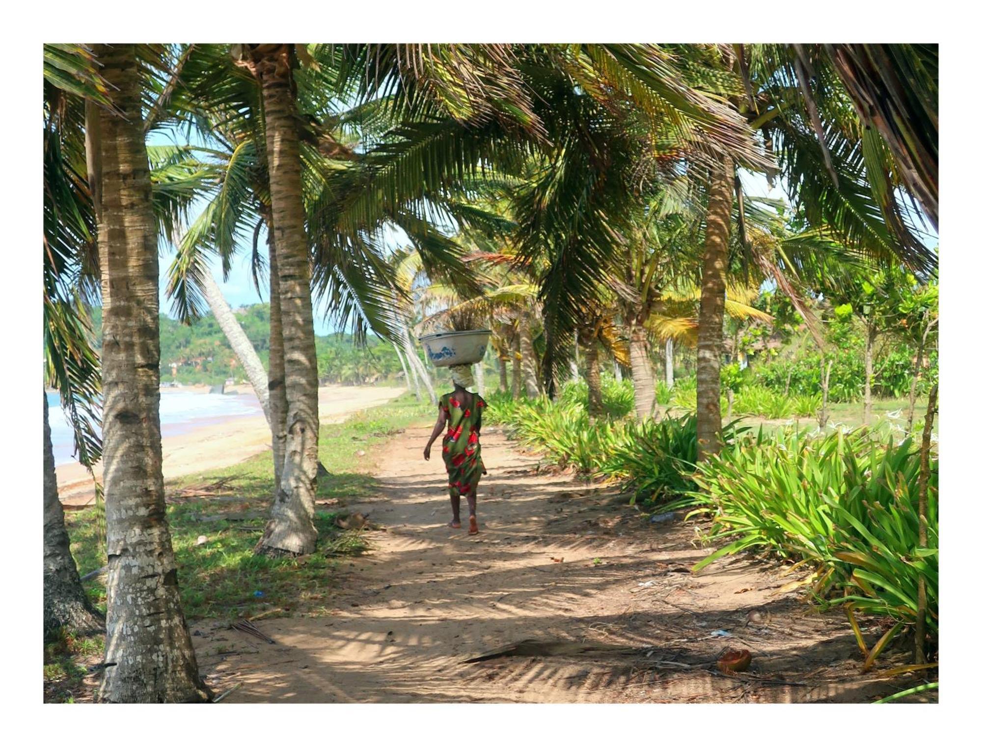 Afro Beach Eco Resort Butre Ngoại thất bức ảnh