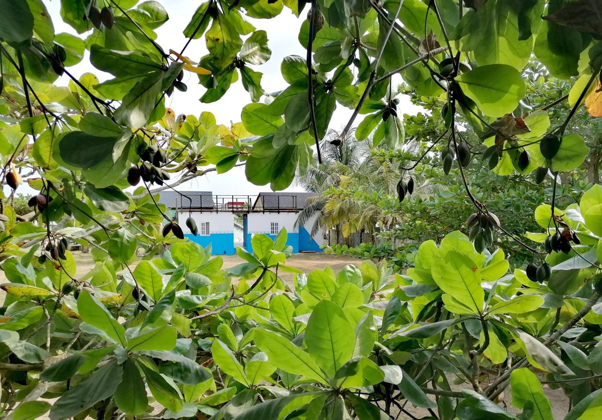 Afro Beach Eco Resort Butre Phòng bức ảnh