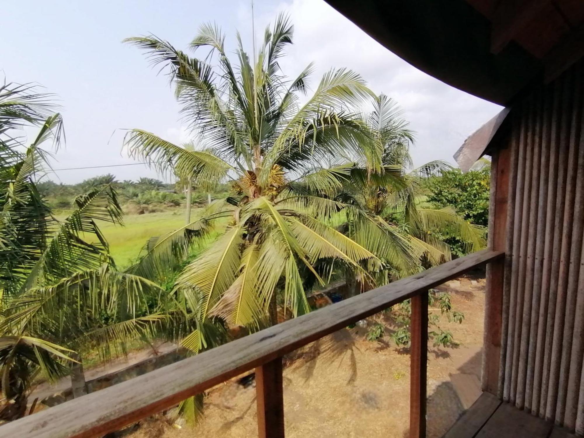Afro Beach Eco Resort Butre Phòng bức ảnh